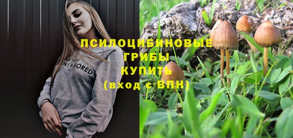 бошки Алексин