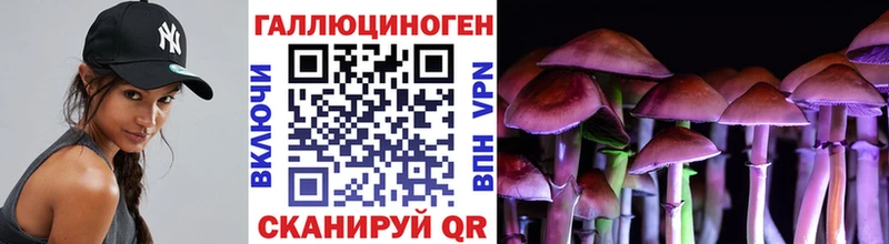 МЕГА   дарк нет клад  Мышкин  Галлюциногенные грибы MAGIC MUSHROOMS  где продают  